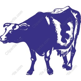 Violet Cow