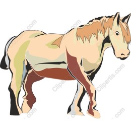Majestic Horse