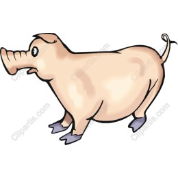 Whimsical Piglet