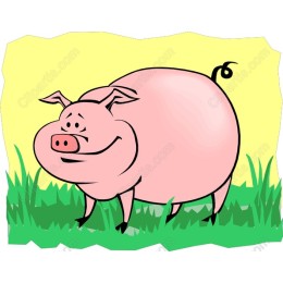 Charming Cartoon Pig