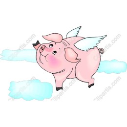 Flying Pig
