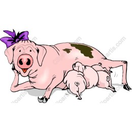 Adorable Mother Pig and Piglets