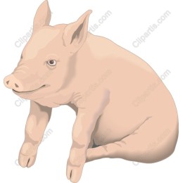 Playful Piglet