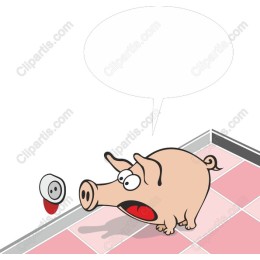 Surprised Pig