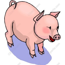 Cheerful Pig