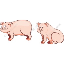 Charming Pig