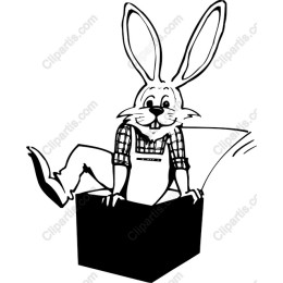 Playful Bunny in a Box
