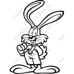 Playful Rabbit