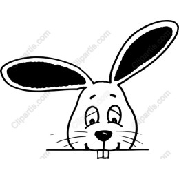Cartoon Rabbit