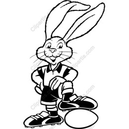 Soccer Bunny