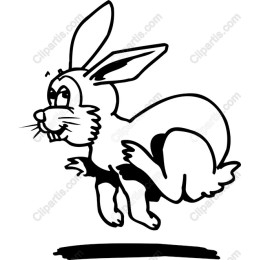 Playful Rabbit