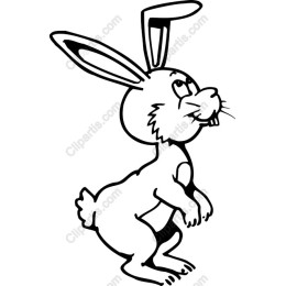 Cheerful Bunny