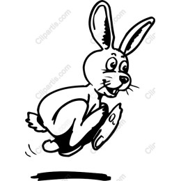 Jumping Bunny