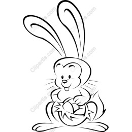 Playful Bunny