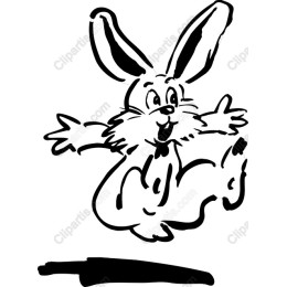 Playful Rabbit