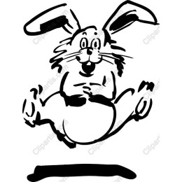 Playful Rabbit