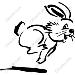 Playful Rabbit