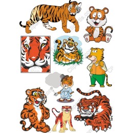 Playful Tiger Collection