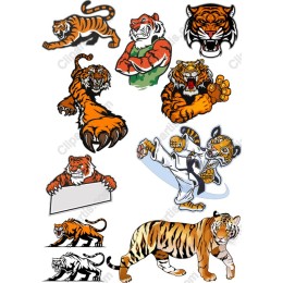 Tiger Collection - Dynamic s for Creative Projects