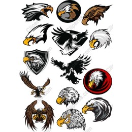 Majestic Eagles Collection