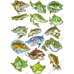 Dynamic Fish Pack