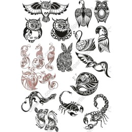 Intricate Animals Collection