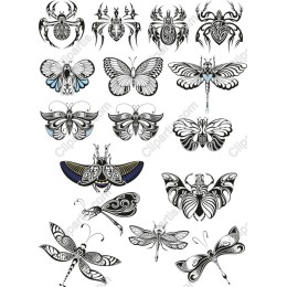 Elegant Insect Collection - Butterflies, Dragonflies, and Beetles