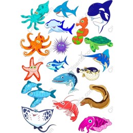 Ocean Wonders Collection