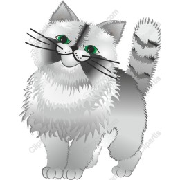 Fluffy Cat