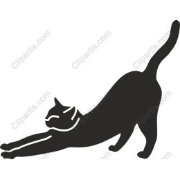 Charming Stretching Cat