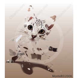 Playful Cats