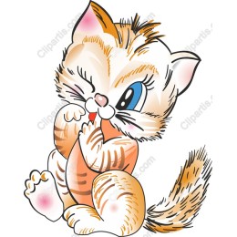 Cute Playful Kitten