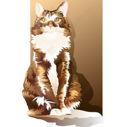 Elegant Cat