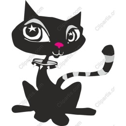 Playful Black Cat