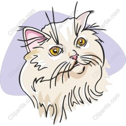 Persian Cat