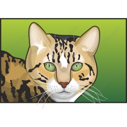 Charming Cat