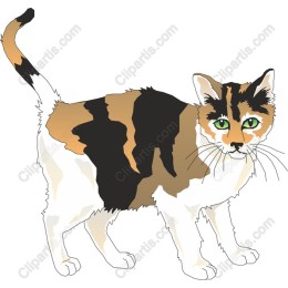 Charming Calico Cat