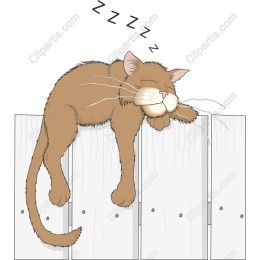 Sleepy Cat on Fence