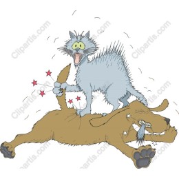 Playful Cat and Dog Rivalry