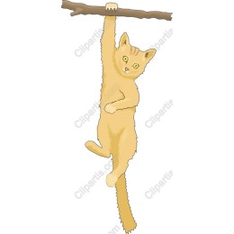 Hanging Cat