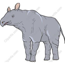 Grey Tapir