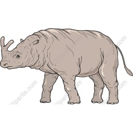 Majestic Rhinoceros