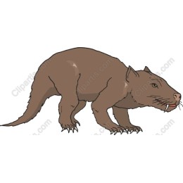 Tasmanian Devil