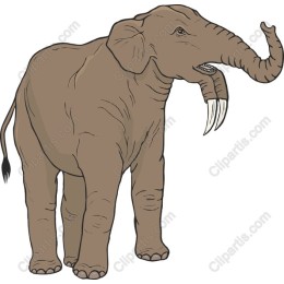 Majestic Elephant