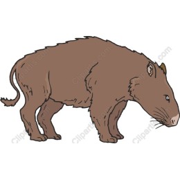 Charming Brown Animal