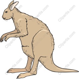 Kangaroo