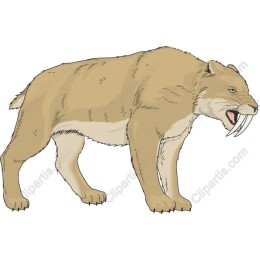 Saber-Tooth Tiger
