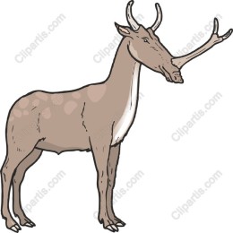 Majestic Deer