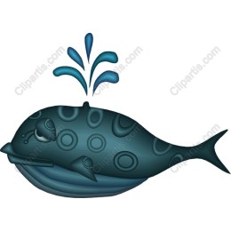 Whimsical Whale