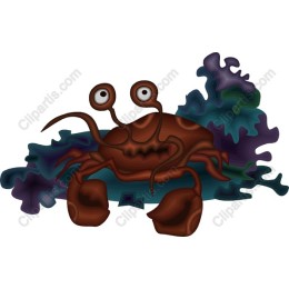 Whimsical Crab
